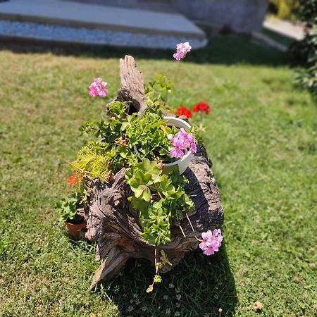 Villa Karolina โอครีด ภายนอก รูปภาพ