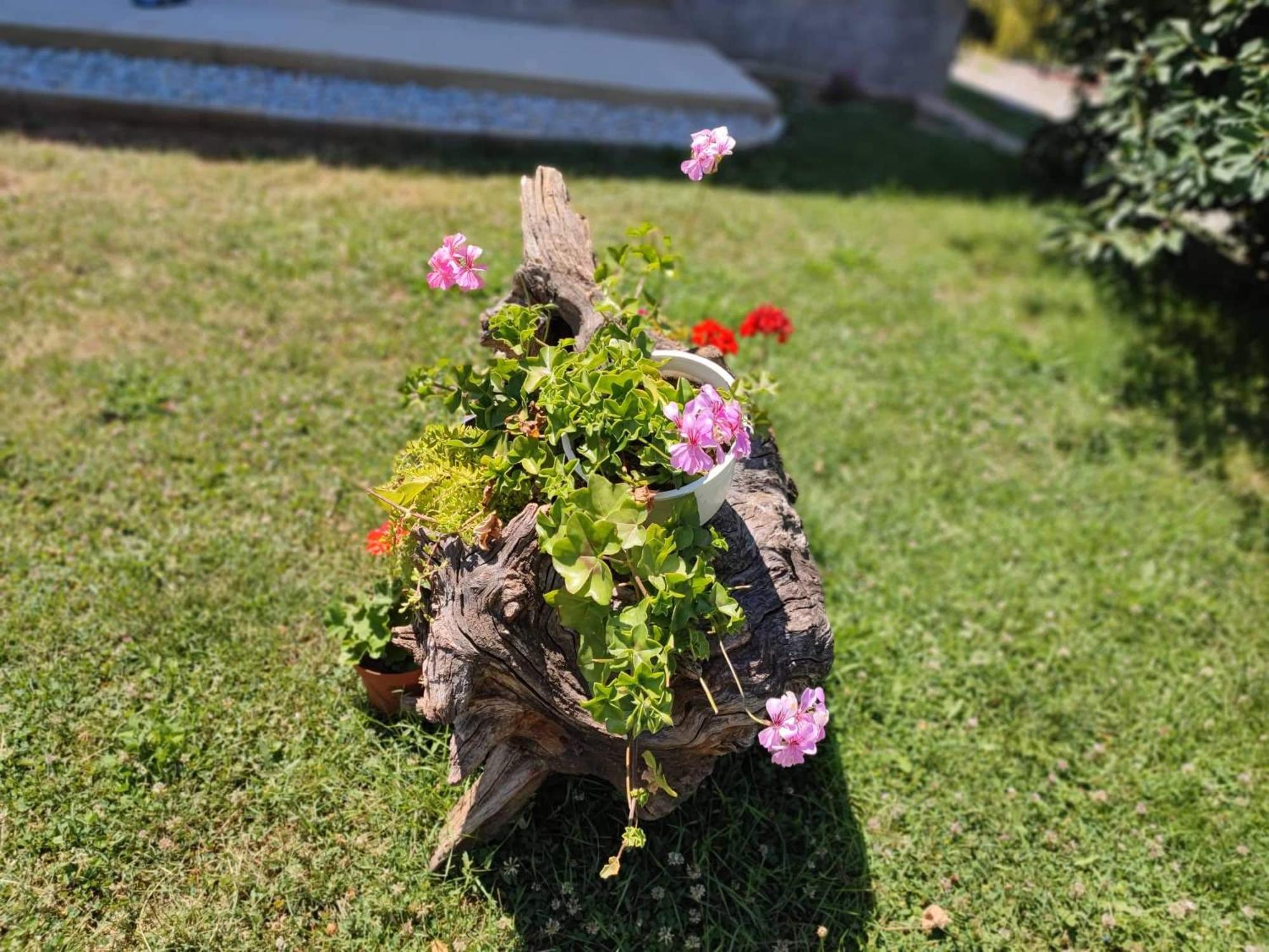 Villa Karolina โอครีด ภายนอก รูปภาพ